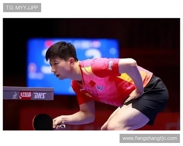 深圳乒乓球队进攻体系解析与战术运用探讨